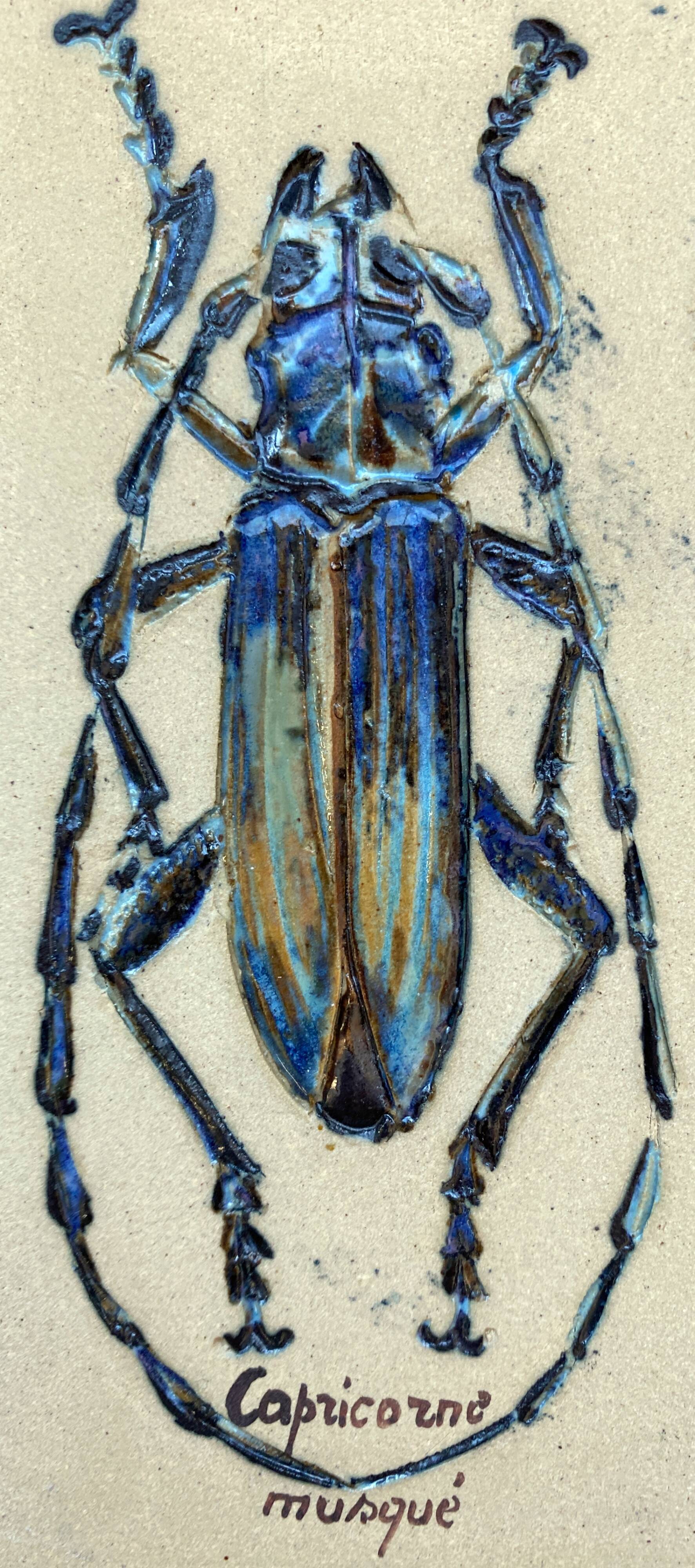 Bas relief painting / earth Beetle entomology A. Prudhomme Cabinet of curiosities