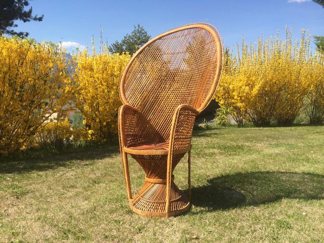 Emmanuelle wicker and rattan chair for adults 1970s