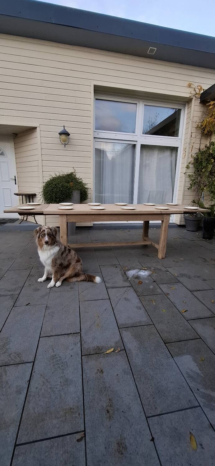 Farmhouse table with oak extensions 3m