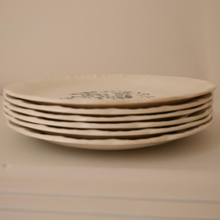 Set of 6 plates Digoin and Sarrguemines, Touraine model