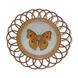 Naturalized butterfly, rattan support from 1970
