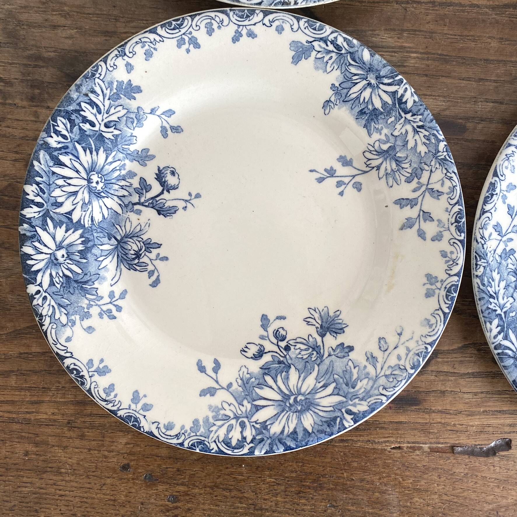 6 assiettes plates en terre de fer Gien "fleur d'automne"