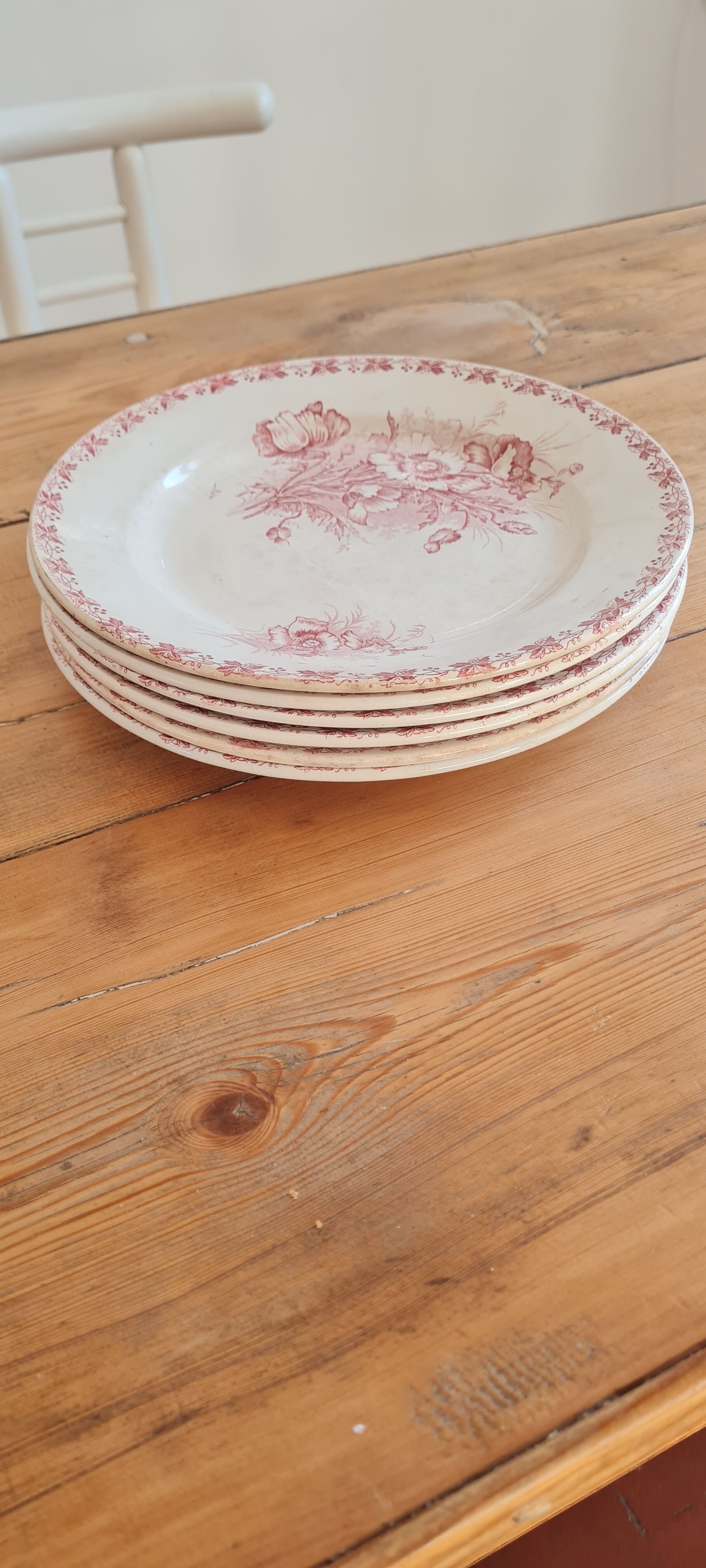 Serving of 6 plates in iron earth