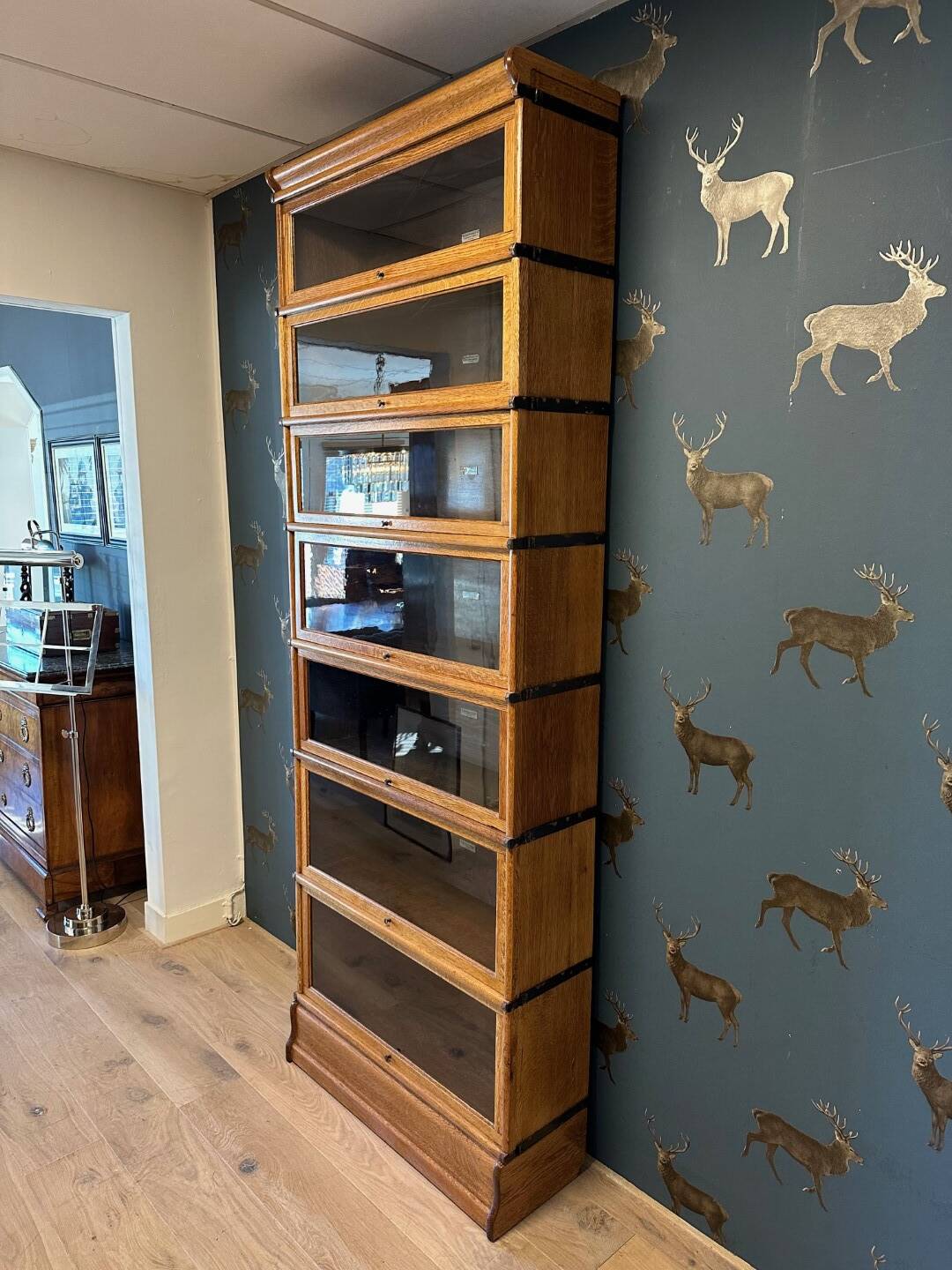 Antique Globe Wernicke Bookcase