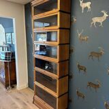 Antique Globe Wernicke Bookcase