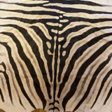 Real zebra skin
