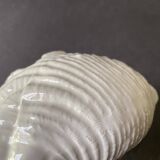 Ceramic shell emptier