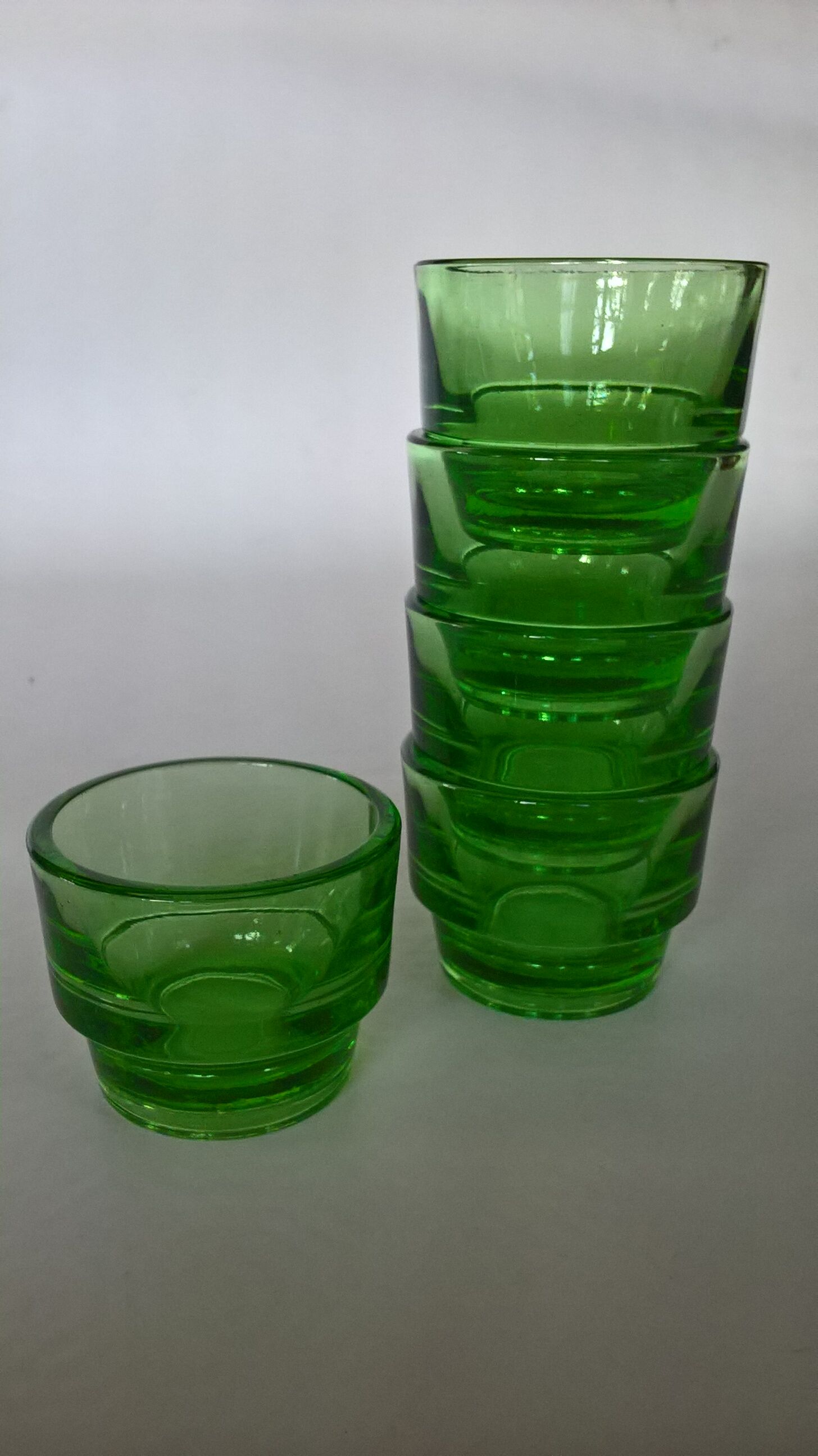 Lot of 5 cockroaches