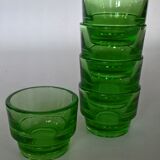 Lot of 5 cockroaches