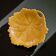 Vintage ochre leaf-shaped pottery catchall.