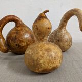 Set of 3 decorative dried coloquintes from the 70s
