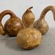 Set of 3 decorative dried coloquintes from the 70s