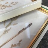 Pair of herbarium frames