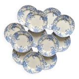 12 small flat plates "Campanule" Saint Amand and Hamage