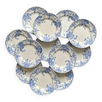 12 petites assiettes plates  "Campanule" Saint Amand et Hamage