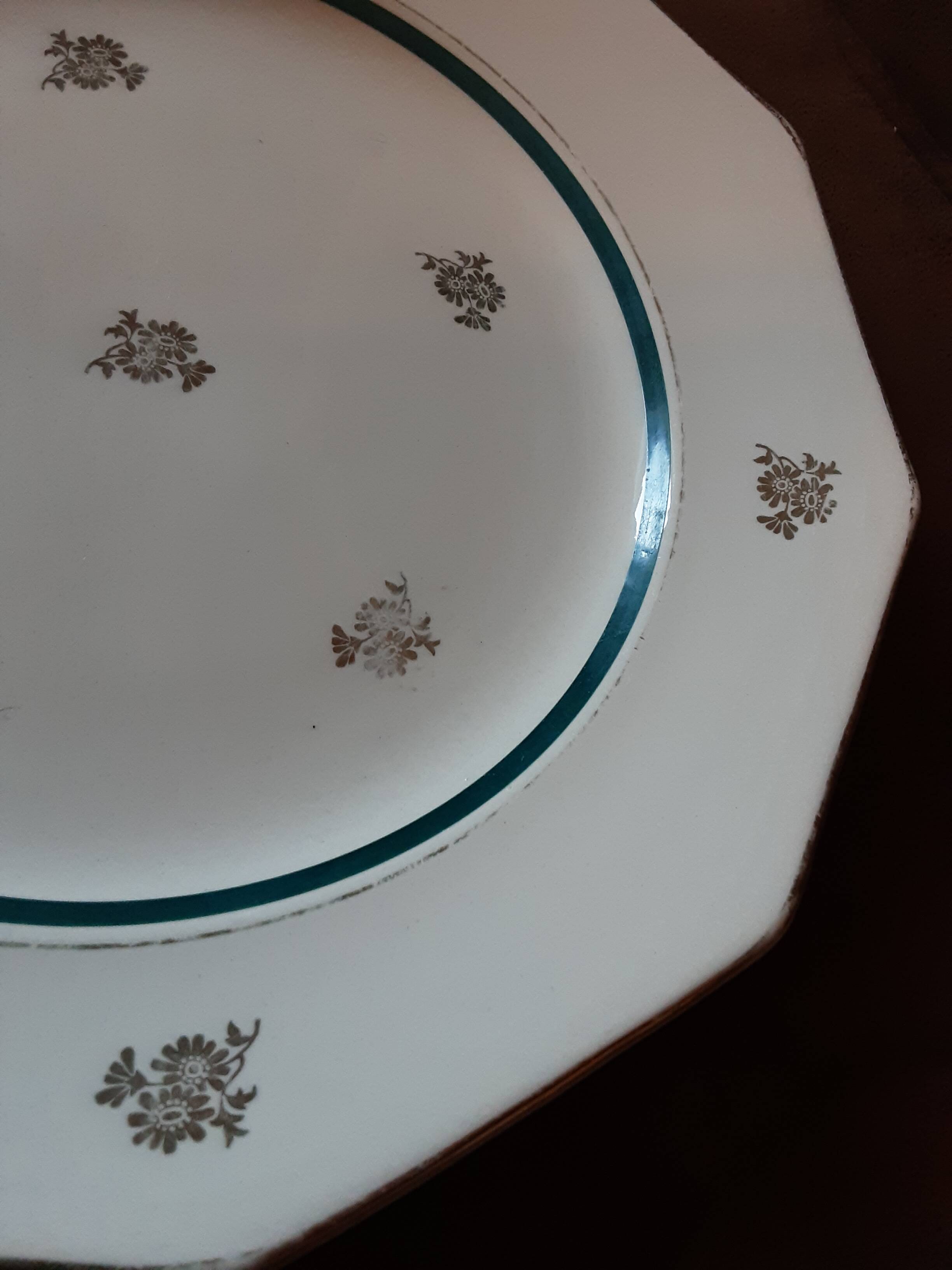 MDL RONSARD ORCHIES dish