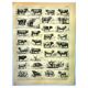 Antique engraving 1928 - Ox, cow, bull - vintage print - farm