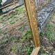 Louis Philippe mirror with a gold frame 69x54cm