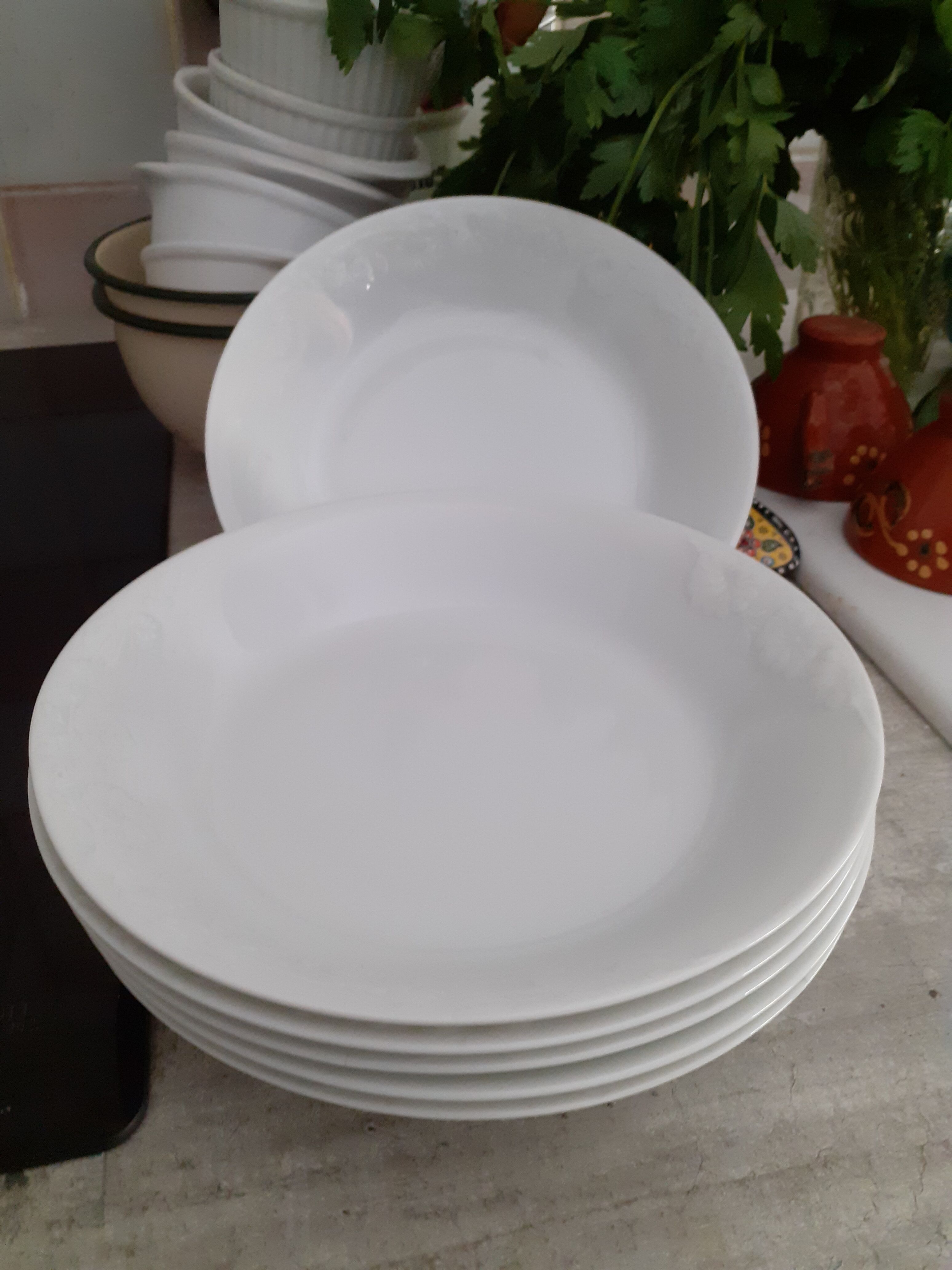 Set of 6 white limoges hollow plates