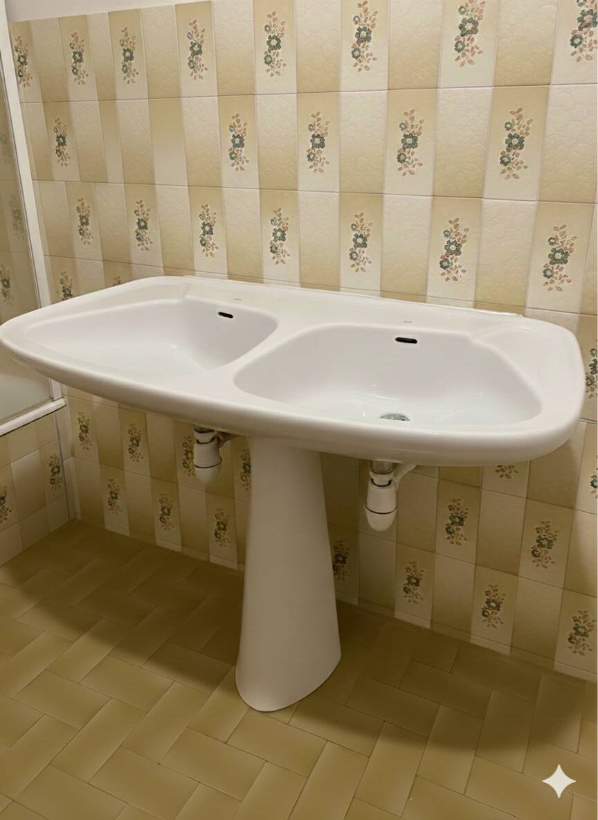 Vintage double basin Jacob Delafon - Valencay model