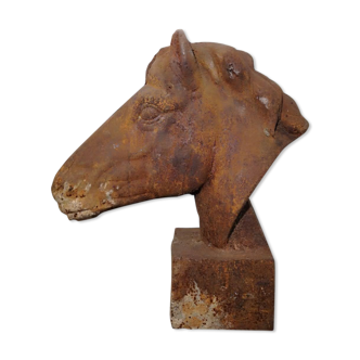 Horse head