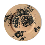 HB iron soil and model dish to birds at the end of 19th century
