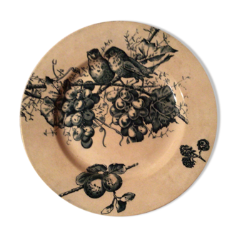 HB iron soil and model dish to birds at the end of 19th century