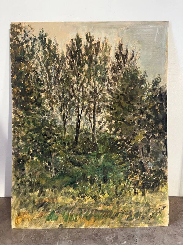 « Arbres » huile sur carton signé