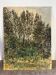"Trees" oil on cardboard signed