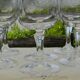 6 crystal water glasses from ARQUES. MATIGNON model.