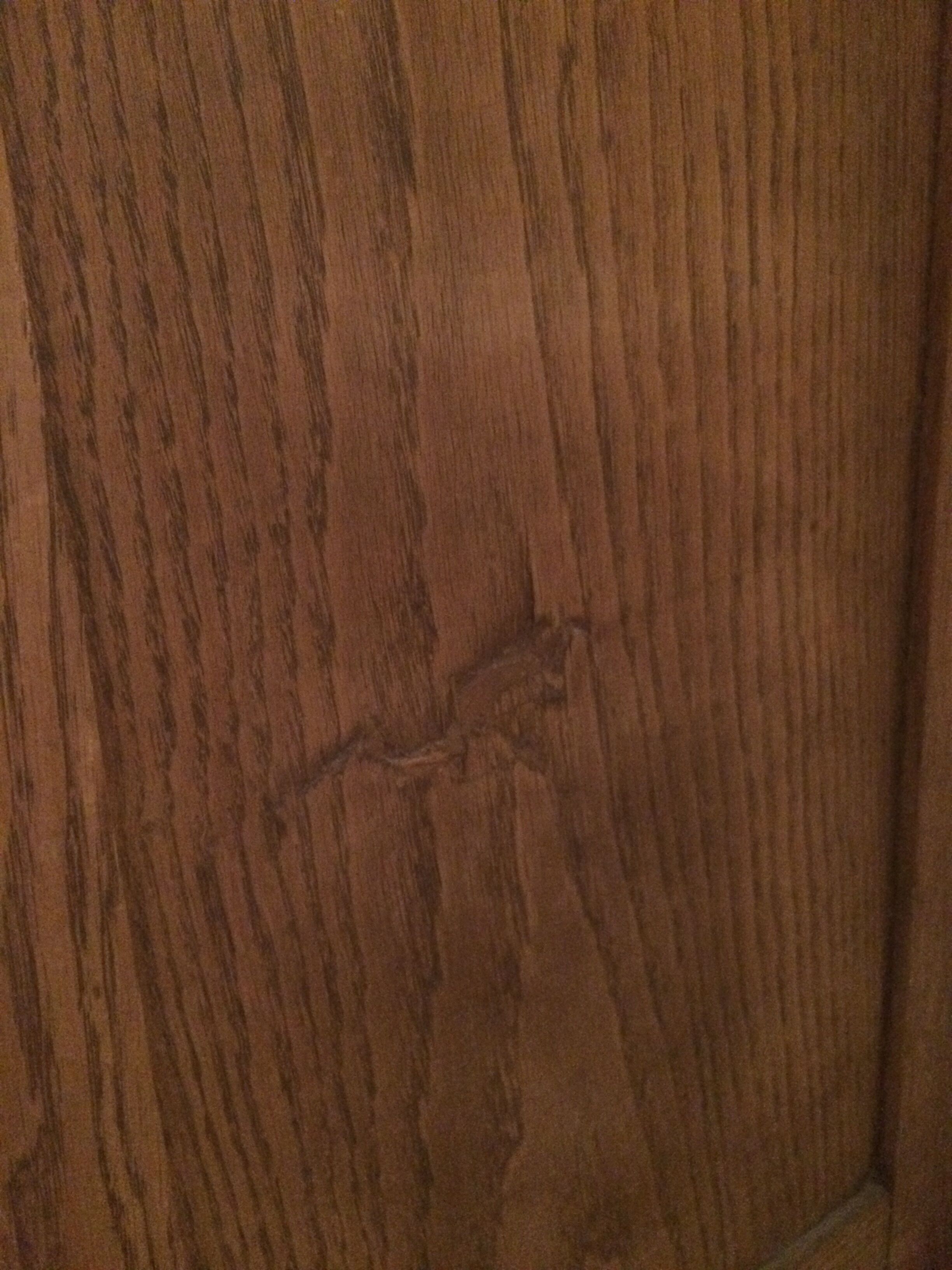 1900 oak notary curtain cabinet