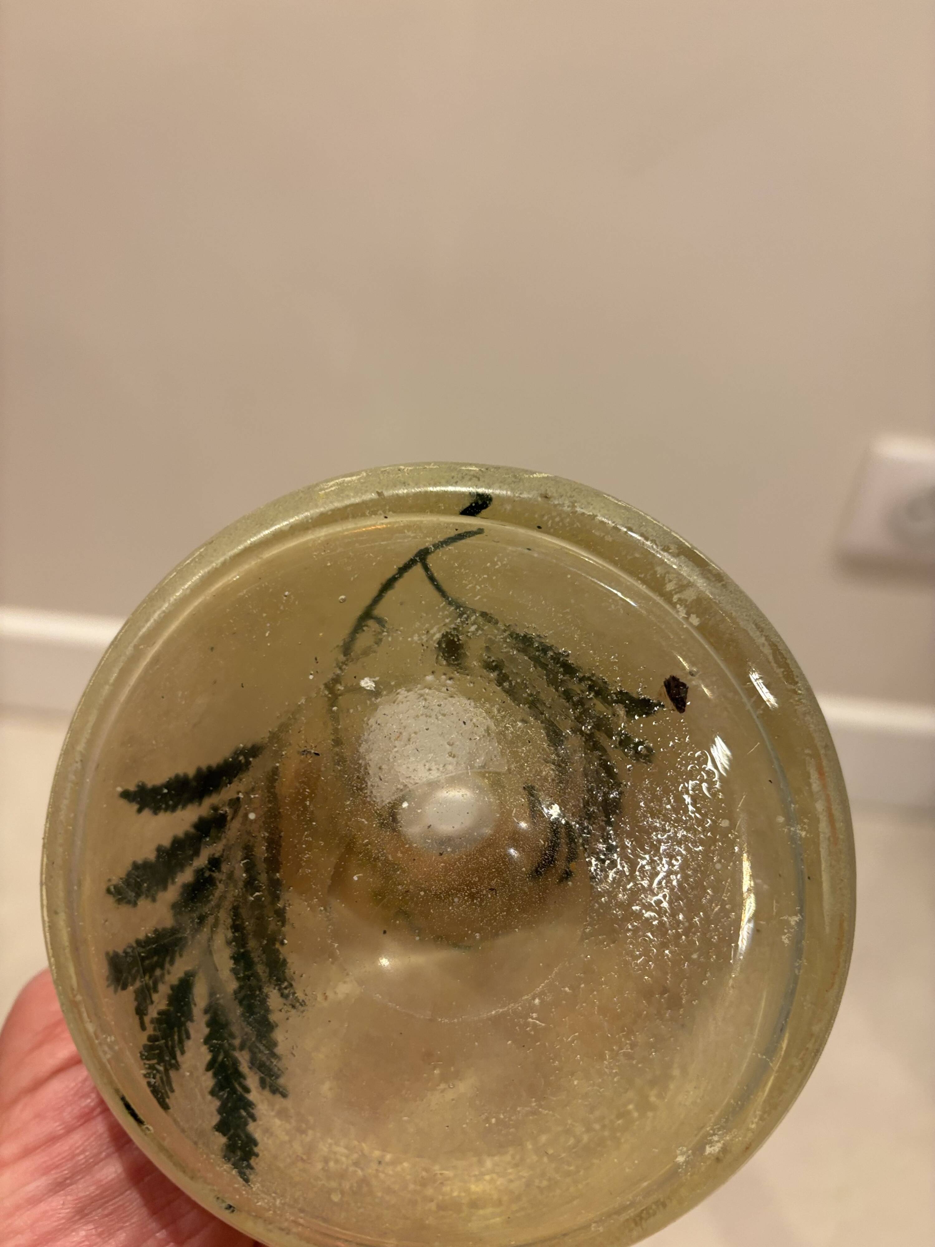 Antique blown glass soliflore vase