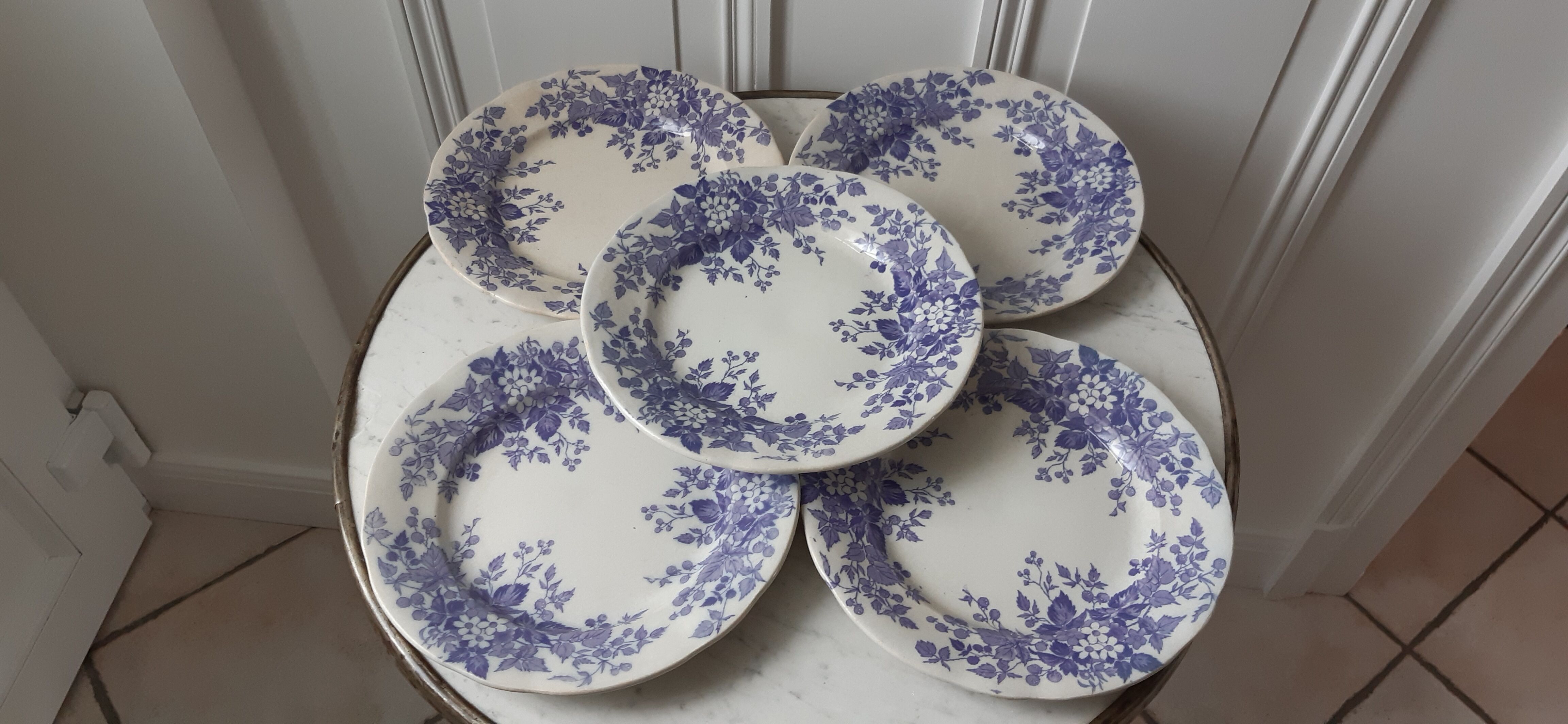 Lot de 5 assiettes plates Terre de Fer U&C Sarreguemines "Rubia" XIXème
