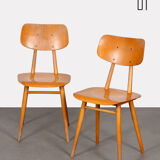 Pair of wooden chairs produced by Ton, 1960