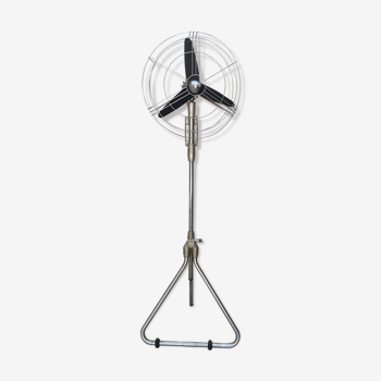 Hovan Meh standing fan