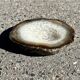 Vintage brown crystal agate slice tray agate ashtray 1960