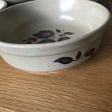 6 hollow plates sandstone earthenware of Saint Amand floral decoration Sologne