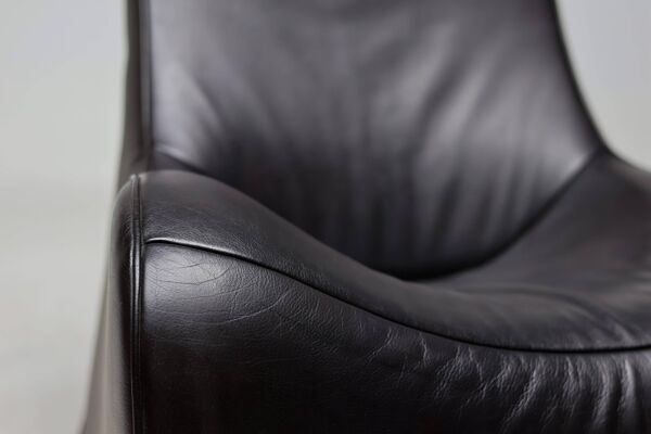 Fauteuil De Sede DS-264 de Mathias Hoffmann, Swiss Leather Design