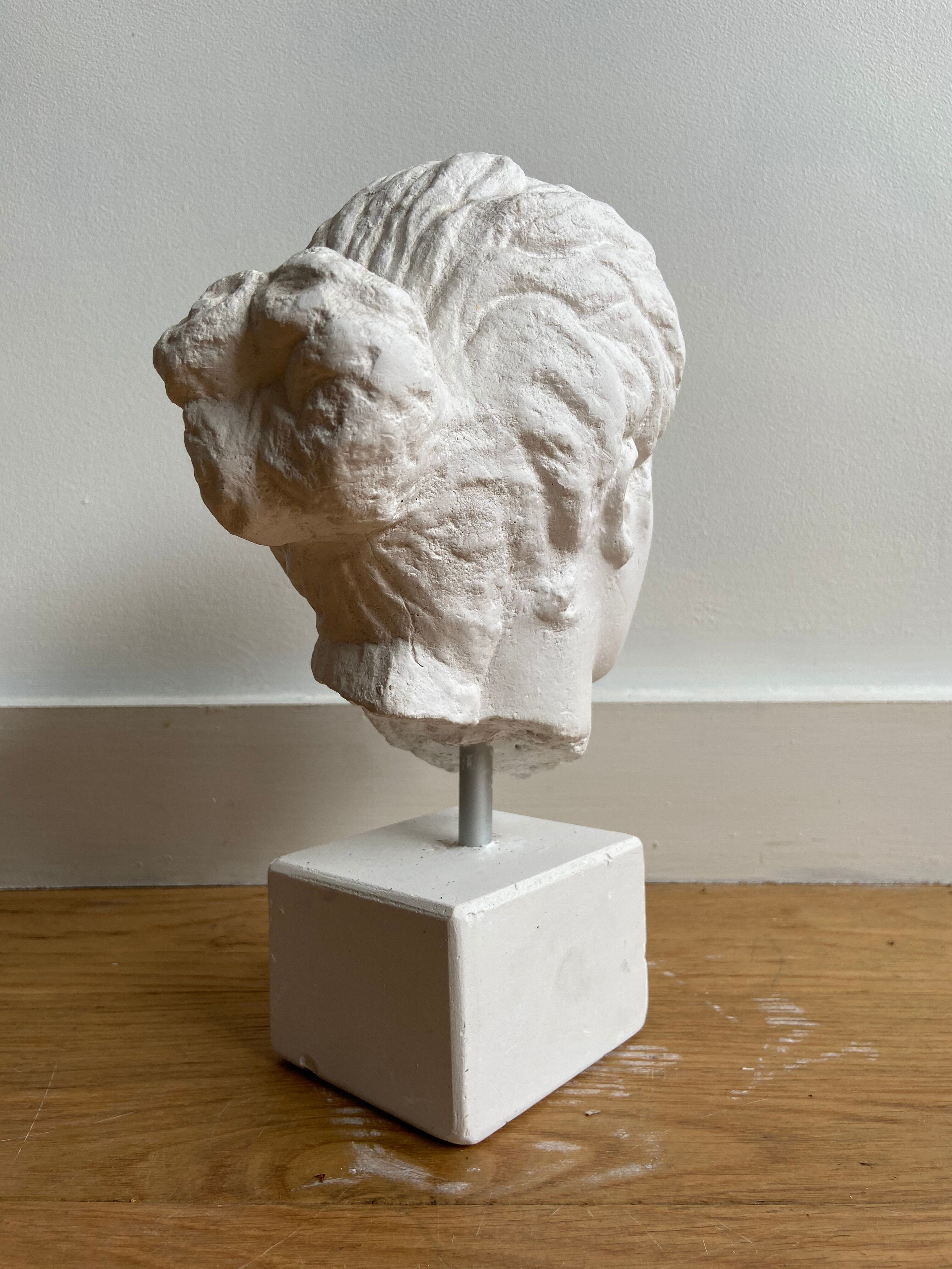 Artemis plaster head