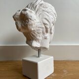 Artemis plaster head