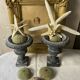 Paire de Médicis en fonte