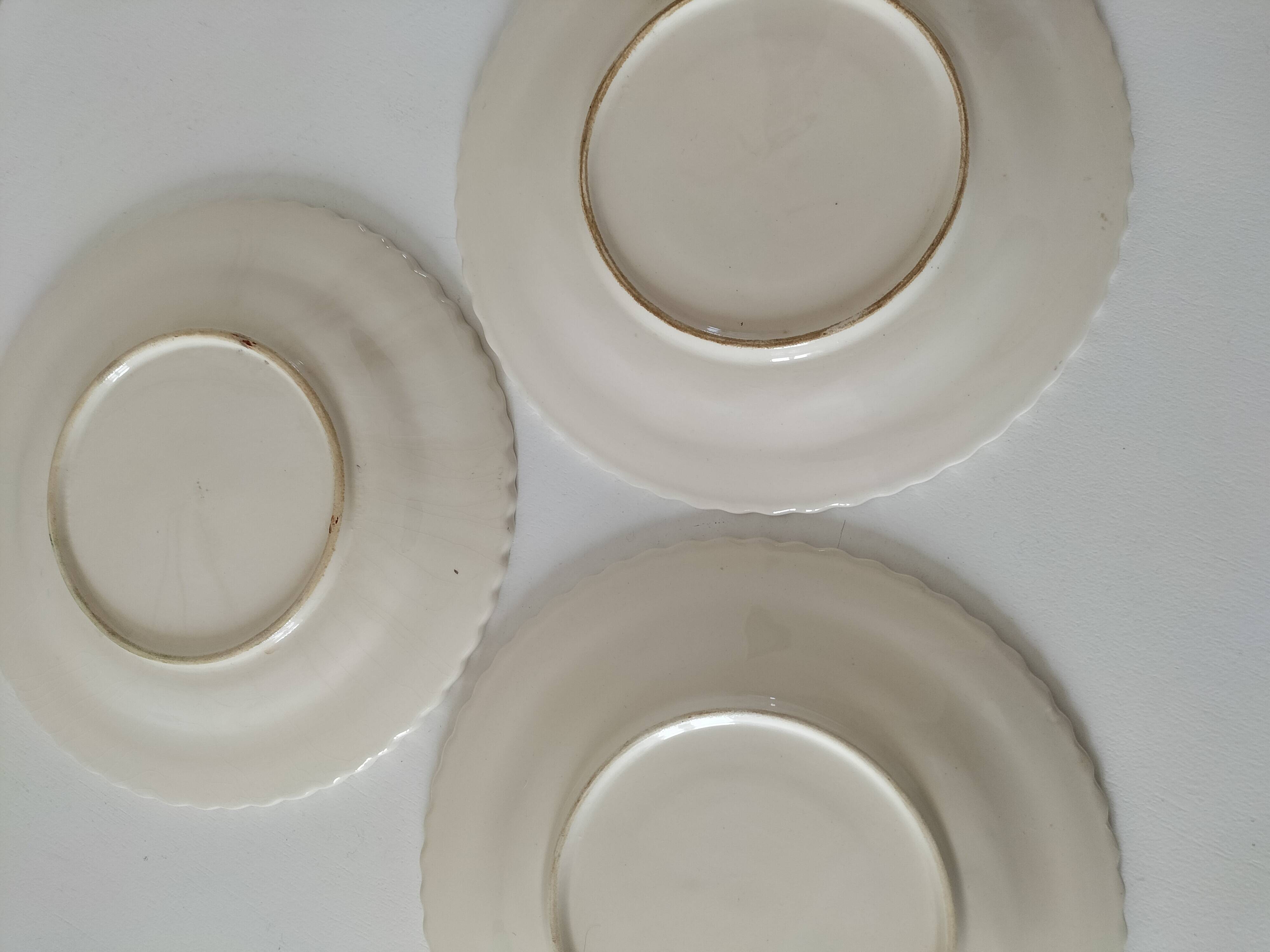 Trio of fruit slushie plates