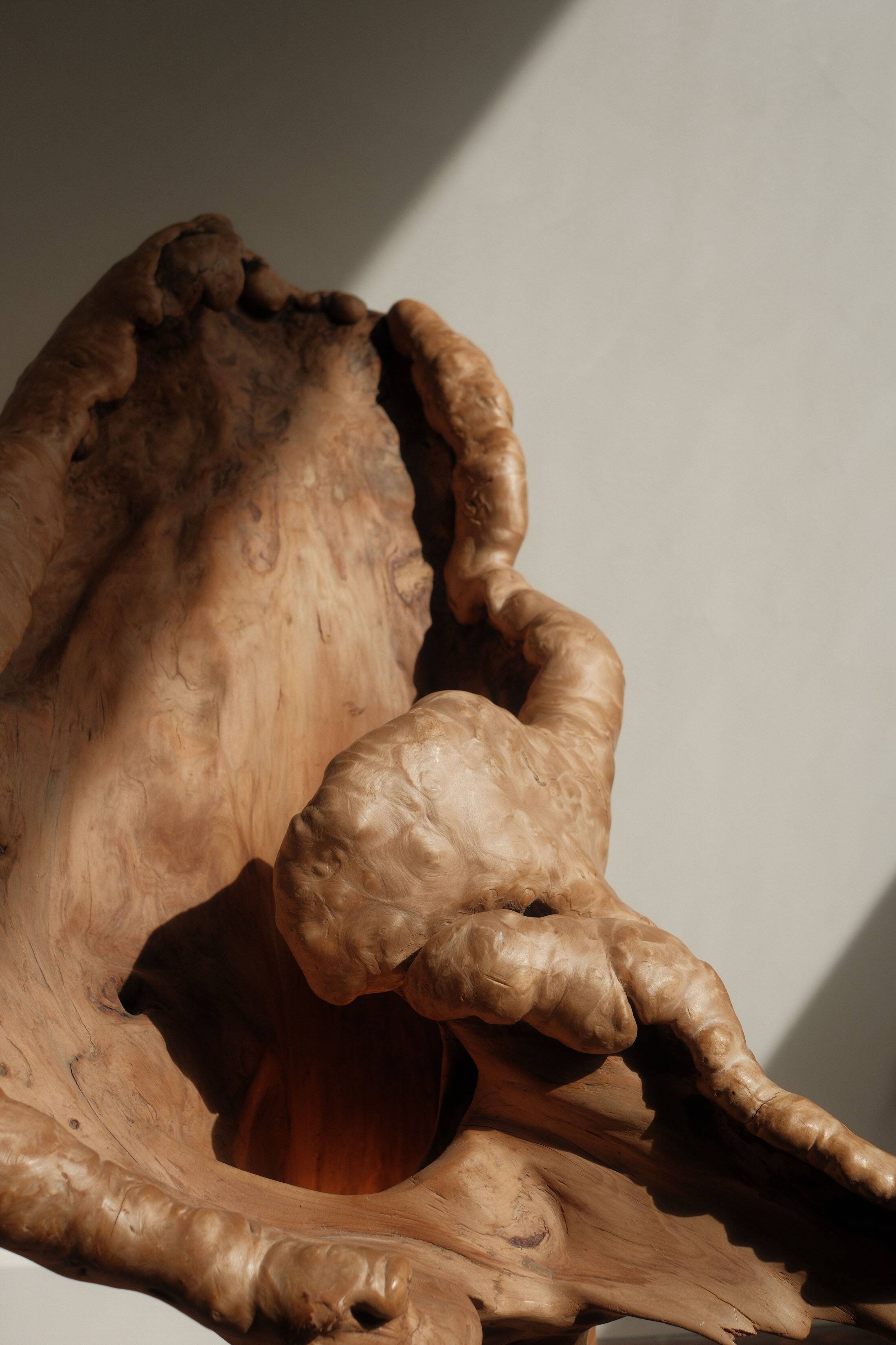 Sculptural lamp in burl wood