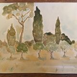 Signed watercolor painting “olive tree field in Provence”