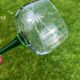 Antique engraved glasses from Alsace