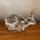 Lapin vide poche