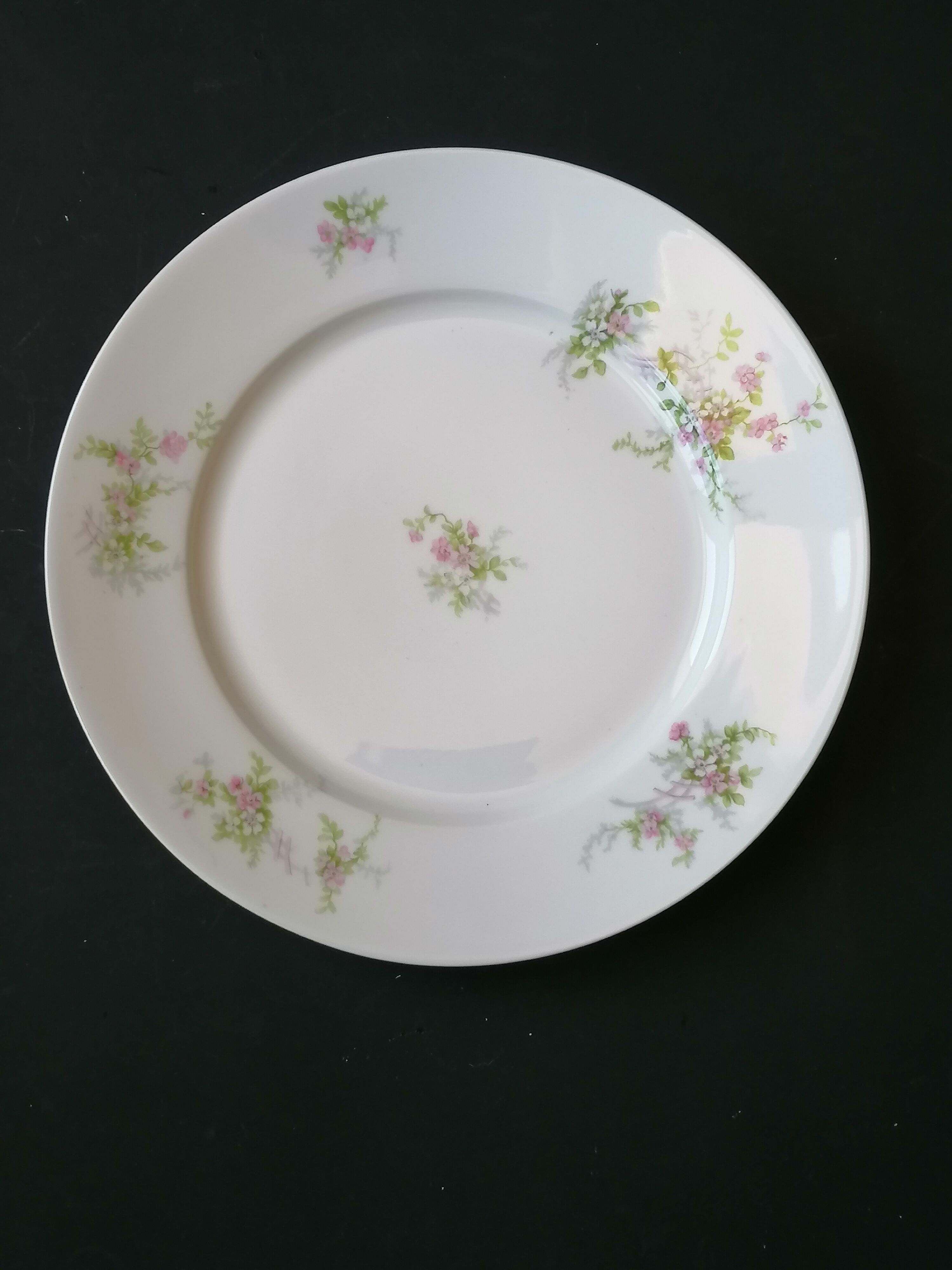 6 flat porcelain plates Limoges