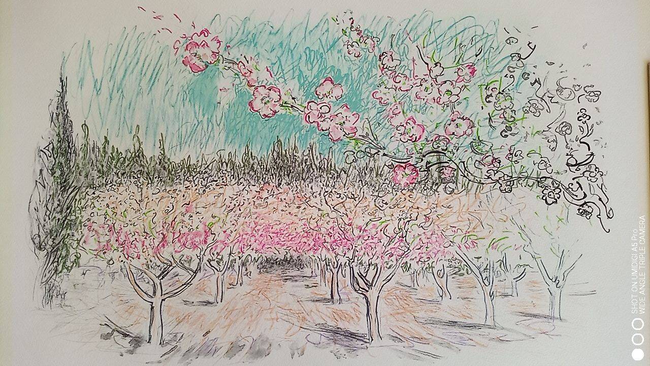 Art print on arches sheet - 48 x 65 cm, signed, apple trees in bloom