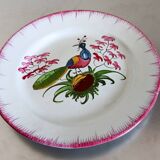 Rare assiette Les islettes en faïence à décor d'un paon. XIXème siècle.
