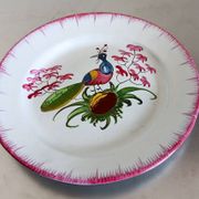 Rare Les Islettes earthenware plate decorated with a peacock. 19th century.